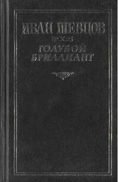 Иван Шевцов Крах обложка книги