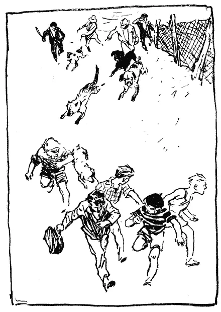 Не встигли Дог уже був біля них Але що за диво ледве він наблизився як - фото 13