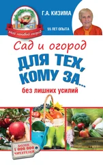 Галина Кизима - Сад и огород для тех, кому за… без лишних усилий