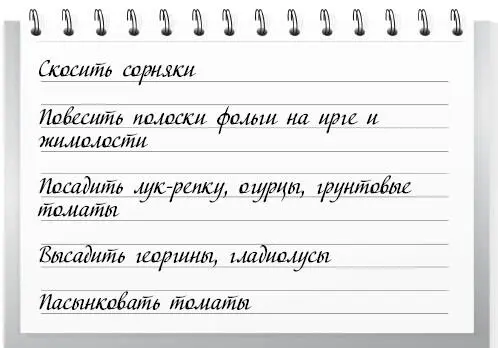 Первая половина месяца 1 В период бутонизации до цветения надо опрыскать - фото 7
