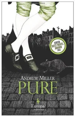 Andrew Miller Pure обложка книги