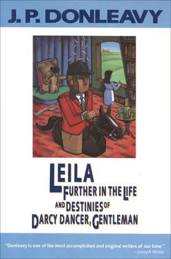 J. Donleavy Leila: Further in the Life and Destinies of Darcy Dancer, Gentleman обложка книги