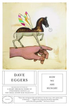 Dave Eggers How We Are Hungry обложка книги