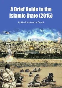 Abu al Britani A Brief Guide to Islamic State (2015) обложка книги