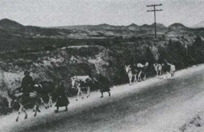 7 Spanish peasants returning from market In such a situation it is inevitable - фото 8