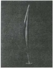 72 Brancusi The Bird 1915 73 Brancusi in his studio 1946 It is true - фото 73