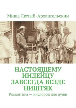 Миша Лютый-Архангельский Настоящему индейцу завсегда везде ништяк. Романтика – кислород для души обложка книги