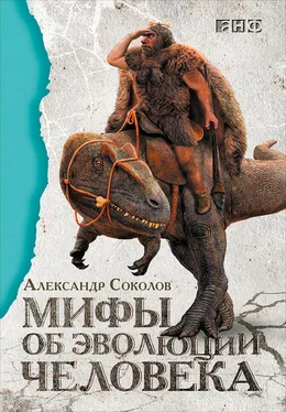 Александр Соколов Мифы об эволюции человека обложка книги