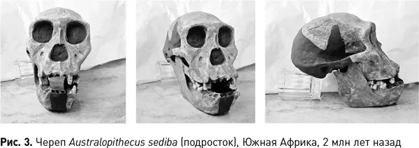Разумеется и те и другие в отличие от мифотворцев прекрасно понимают что - фото 7