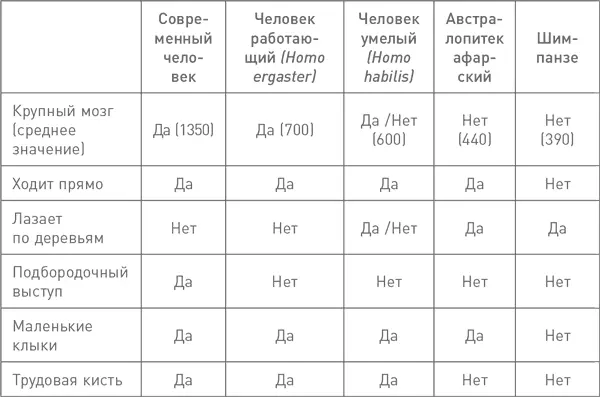 Резюме Если некто заговорит о просто древних людях и обезьянах предложите - фото 9