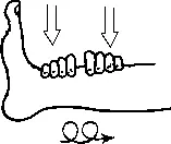 Рис 515 Эллиптический массаж переднего края большеберцовой кости подушечками - фото 136