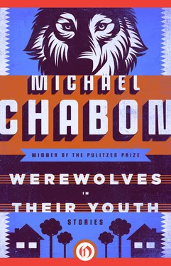 Michael Chabon Werewolves in Their Youth обложка книги