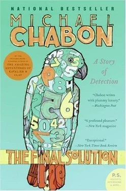 Michael Chabon The Final Solution: A Story of Detection обложка книги