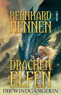 Bernhard Hennen Die Windgängerin обложка книги