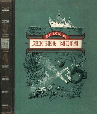 Венианим Богоров Жизнь моря обложка книги