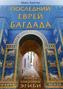Макс Кратер Последний еврей Багдада обложка книги