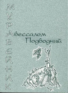 Авессалом Подводный Муравейник обложка книги