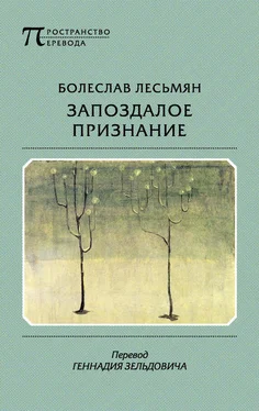 Болеслав Лесьмян Запоздалое признание обложка книги