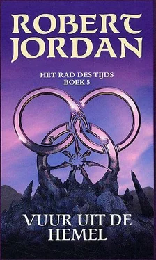 Robert Jordan Vuur uit de hemel обложка книги