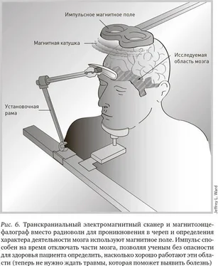 Митио Каку Будущее разума обложка книги