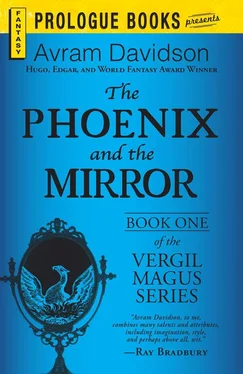 Avram Davidson The Phoenix and the Mirror обложка книги