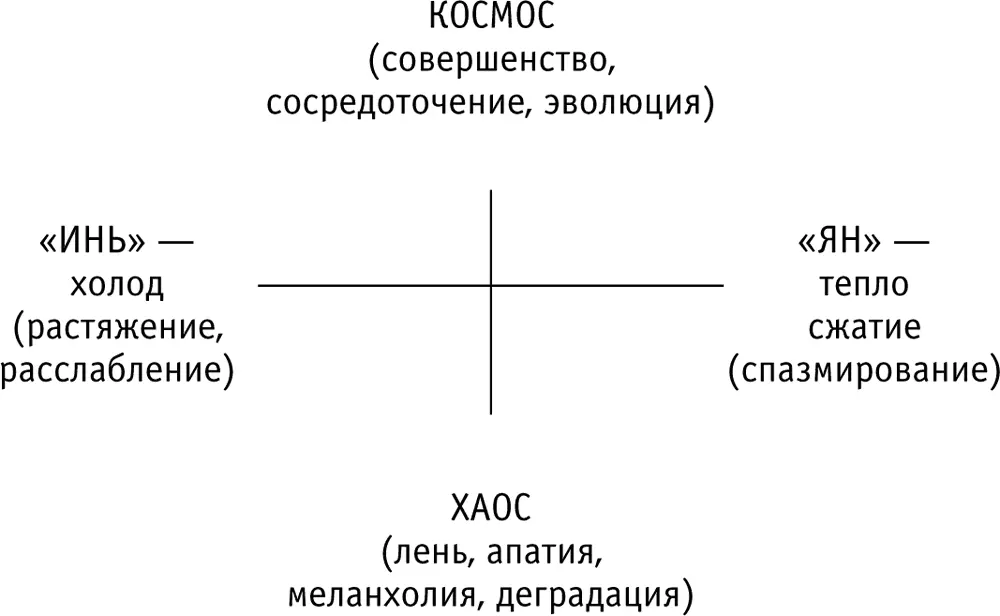 Идеальное состояние поддержание равновесия всех сил здоровья в течение - фото 18
