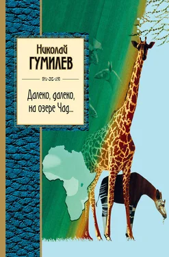 Николай Гумилев Далеко, далеко на озере Чад… обложка книги