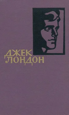 Джек Лондон Собрание сочинений в 14 томах. Том 5 обложка книги