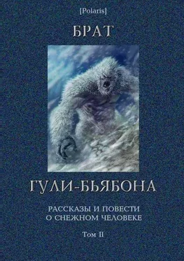 М Фоменко Брат гули-бьябона. Рассказы и повести о снежном человеке. Том II обложка книги