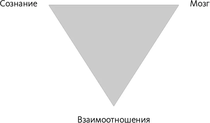 Умение четко видеть отпускать и впускать Я встречался с Лиэн Эйми Томми и - фото 1