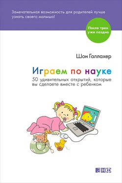 Шон Галлахер Играем по науке. 50 удивительных открытий, которые вы сделаете вместе с ребенком обложка книги