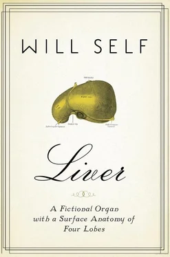 Will Self Liver: A Fictional Organ With a Surface Anatomy of Four Lobes обложка книги