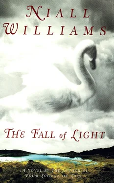 Niall Williams The Fall of Light обложка книги