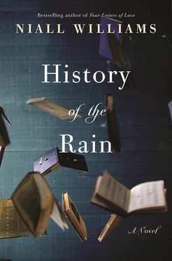 Niall Williams History of the Rain обложка книги