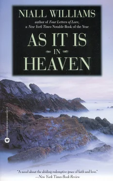 Niall Williams As It Is in Heaven обложка книги