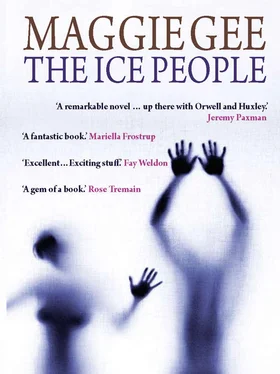 Maggie Gee The Ice People обложка книги