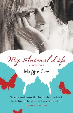 Maggie Gee My Animal Life