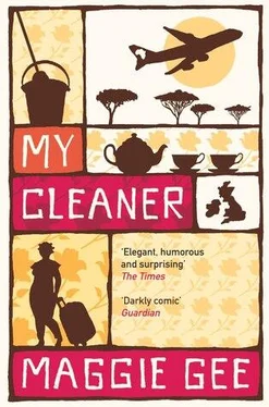 Maggie Gee My Cleaner обложка книги