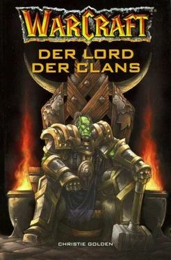 Christie Golden Der Lord der Clans обложка книги