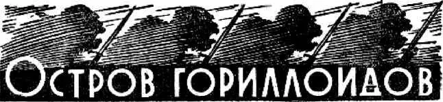 I ПИСЬМО ИЗ АФРИКИ Андрей Николаевич Ильин ассистент по кафедре гистологии - фото 3