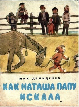 Михаил Демиденко Как Наташа папу искала обложка книги