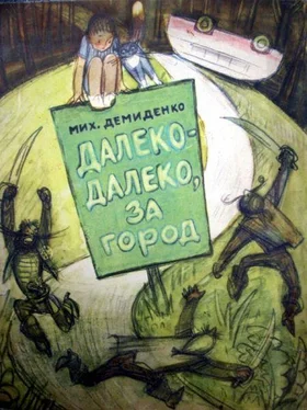 Михаил Демиденко Далеко-далеко, за город обложка книги