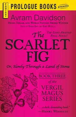 Avram Davidson The Scarlet Fig: Or, Slowly Through a Land of Stone, Book Three of the Vergil Magus Series обложка книги