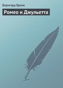 Бернгард Бринк Ромео и Джульетта обложка книги