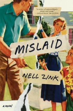 Nell Zink Mislaid обложка книги