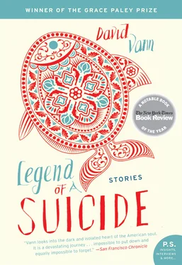 David Vann Legend of a Suicide обложка книги