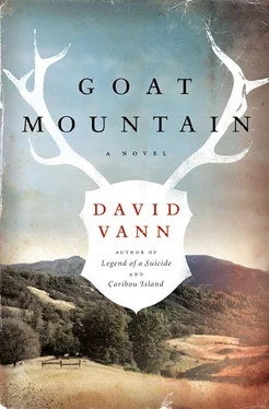 David Vann Goat Mountain обложка книги