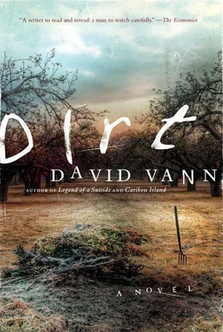 David Vann Dirt обложка книги