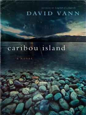 David Vann Caribou Island обложка книги