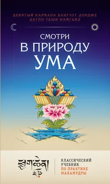 Вангчуг Дордже Смотри в природу ума. Классический учебник по практике Махамудры обложка книги